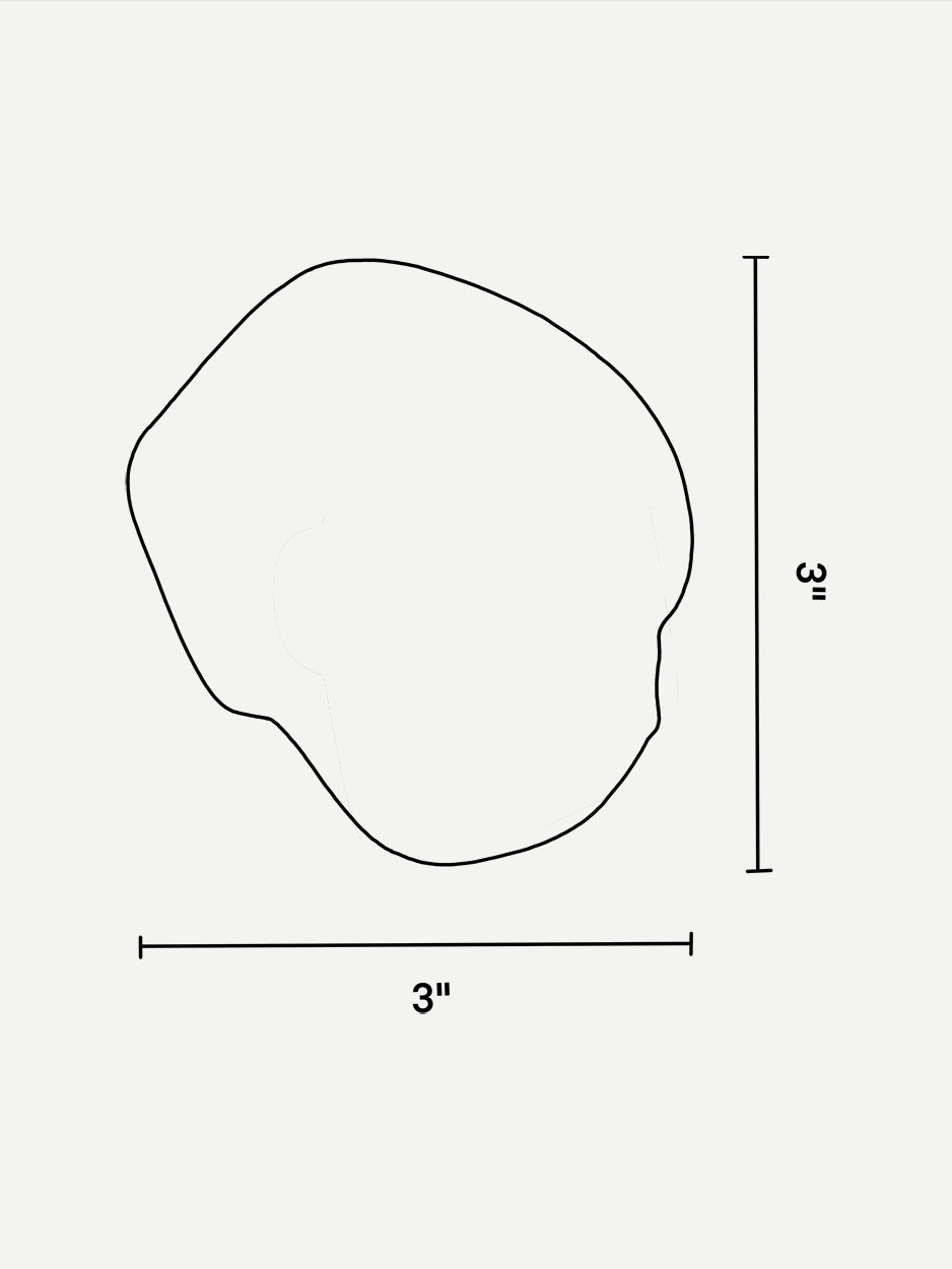 Technical dimension drawing of the brass cabinet pull, detailing its measurements and design specifications.