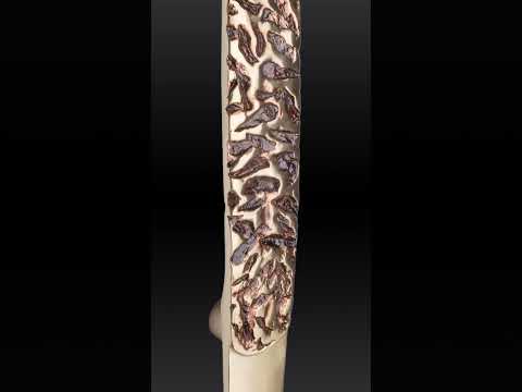 Video showing the CORAL main door pull in POV finish, highlighting the textured center and abstract design in a dynamic, rotating view. The video captures the luxurious and unique appearance of the handle as it adds sophistication to any entryway.